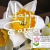 Happy Easter 2017 Happy Easter from Crawford Nursery! We're located on Highway 411 in Odenville, Alabama. Drive a little, save a lot! Shrubs, flowers, trees|205.640-6824