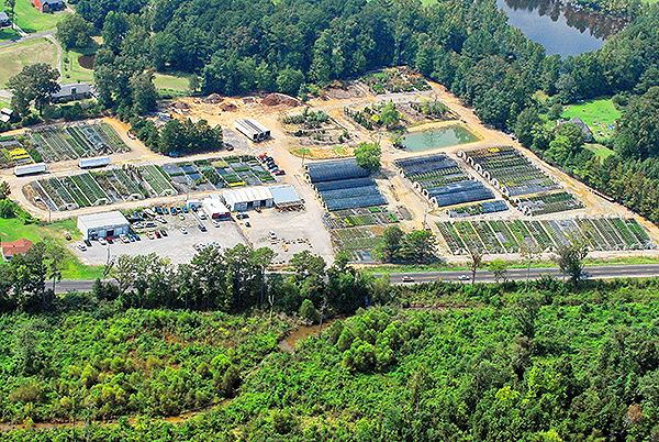 Crawford Nursery & Garden Center Odenville Alabama large plant warehouse, plants, trees, shrubs, flowers | 205.640.6824