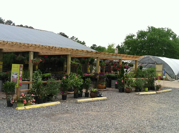 Crawford Nursery & Garden Center Odenville Alabama large plant warehouse, plants, trees, shrubs, flowers | 205.640.6824