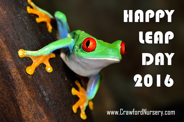 Crawford Nursery wishes you a Happy Leap Day 2016! "Drive a little, save a lot!" Everything you need for landscaping #HappyLeapDay2016 | 205.640.6824