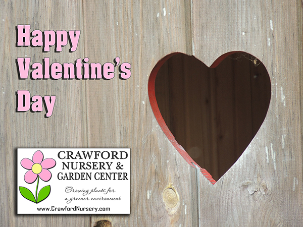 Crawford Nursery wishes you a Happy Valentine's Day! We have everything you need to create your landscaping masterpiece so please keep us in | 206.640.6824