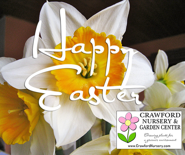 Happy Easter from Crawford Nursery! We're located on Highway 411 in Odenville, Alabama. Drive a little, save a lot! Shrubs, flowers, trees | 205.640-6824