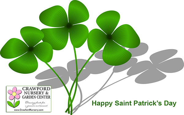 Happy Saint Patrick's Day 2016 from Crawford Nursery! We have everything you need to create your landscaping masterpiece this spring so stop | 205.640.6824