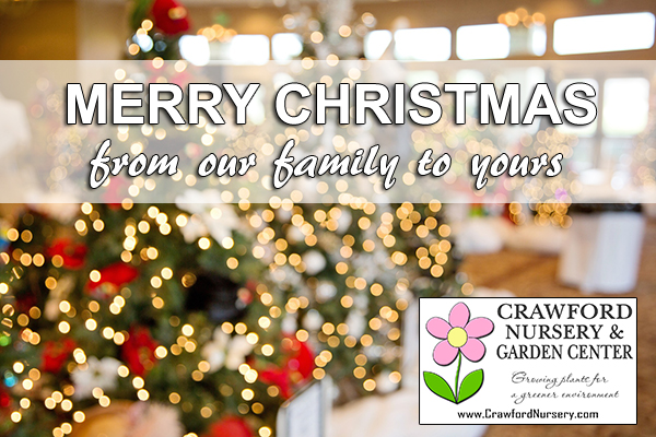 Merry Christmas from Crawford Nursery and the Crawford family. May we always remember the reason for the season. Merry Christmas from Crawford Nursery & Garden Center and the Crawford family. May we always remember the reason for the season as we celebrate our Savior's birth!