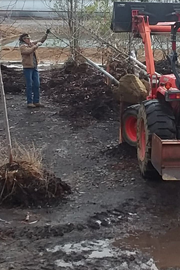 New Load of Trees arrived at Crawford Nursery & Garden Center: October Glory Maple, Autumn Blaze Maple, Nuttall Oaks, Willow Oaks, River Birch and Vitex.