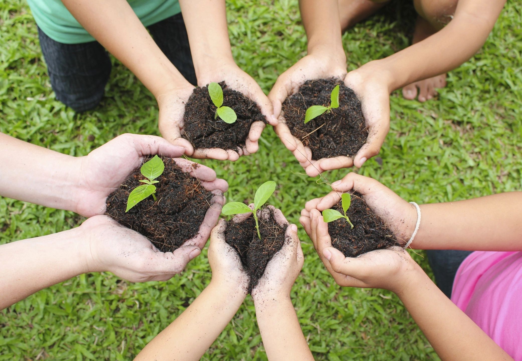 Six pairs of hands holding soil with small green seedlings, forming a circle outdoors on grass, symbolizing growth, teamwork, and environmental care.